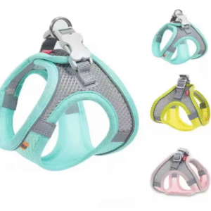 Dog Harness