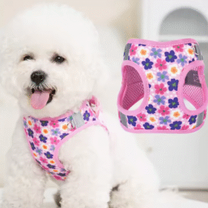 Dog Harness