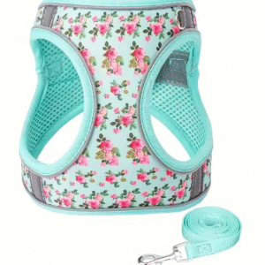 Dog Harness