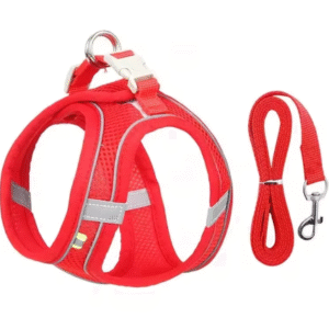Dog Harness